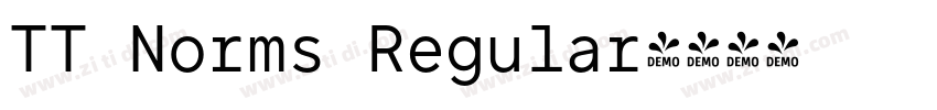 TT Norms Regular字体转换